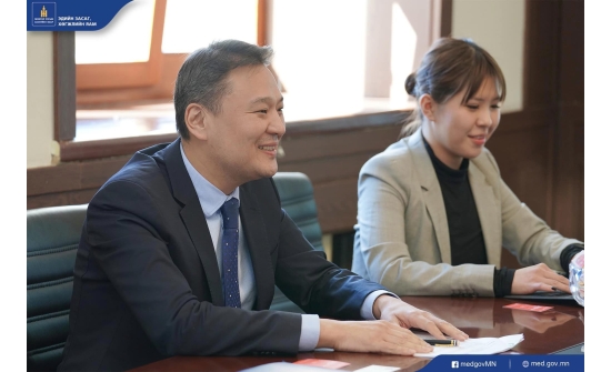 Vice Minister of Economy and Development meets Ambassador of Denmark to Mongolia